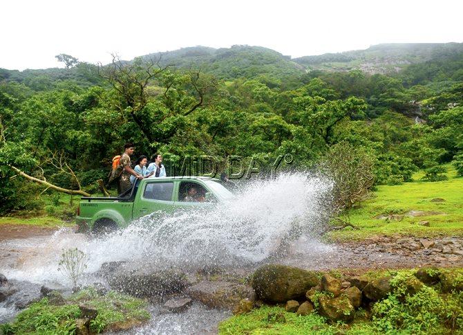 Accompanied by expert guides, we ventured into this 4X4 vehicle wading through a pool of water formed by a nearby waterfall in Rajmachi forest area. Pic/Suresh KK