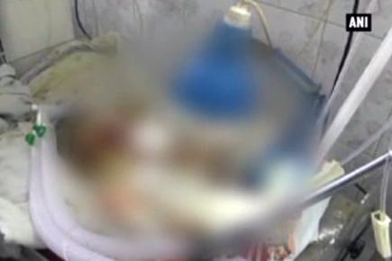 Rodents eat up newborn at a government hospital, baby dies
