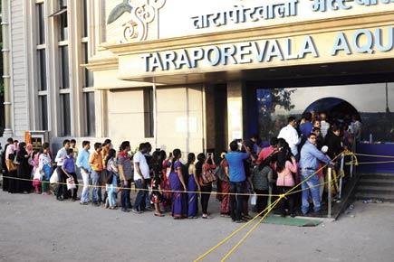 Taraporevala Aquarium: Visitors will soon be able to book tickets through web, mobile apps
