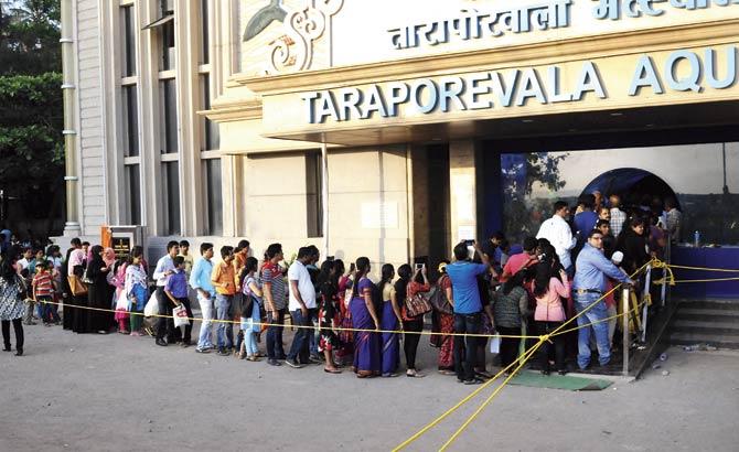 Visitors queue outside the aquarium, waiting for their turn to buy tickets. File pic