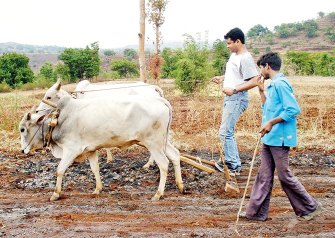Try your hand at ploughing
