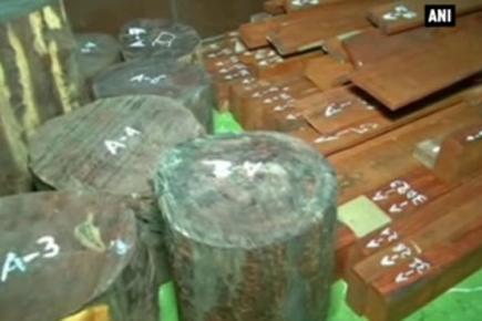 Police arrest two Chinese nationals for smuggling sandalwood