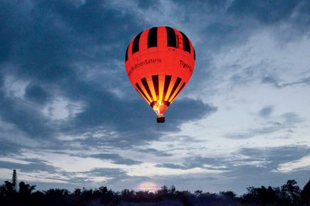 Travel: Spot the tiger from a hot air balloon