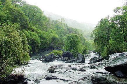 Travel: Trek with a difference to Naigaon's Chinchoti waterfalls