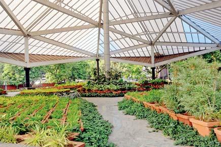 Mumbai: BMC wants ward officers to sanction garden contracts