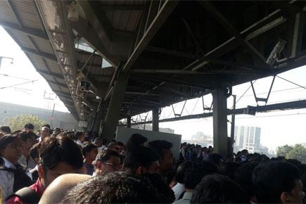 Obstruction on overhead wire affects Mumbai Metro services