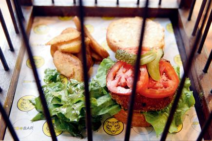 Restaurant Review: This pet-friendly bar in Vile Parle is worth a try