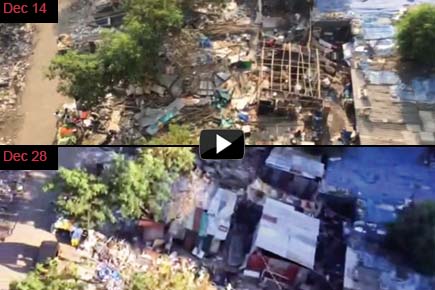 Watch Video: Flattened shanties on Mumbai mangroves rise again in weeks