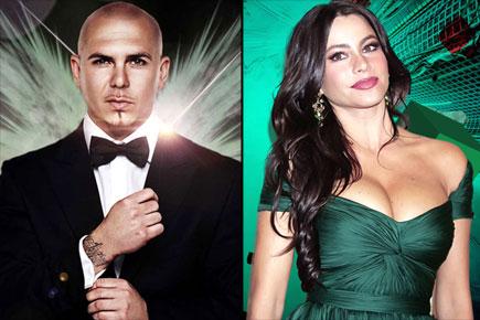 Pitbull honoured to be Sofia Vergara's wedding singer
