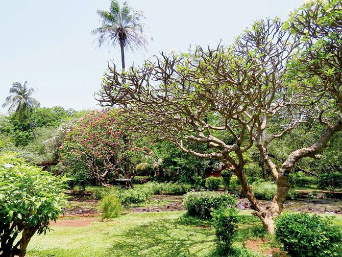 Japanese garden at Byculla zoo