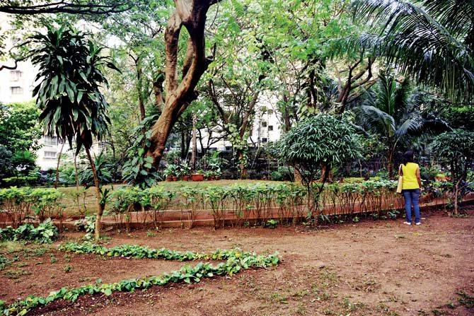 The reservation of the plot had been changed to a garden from that of a market, and since the civic body could not use the plot for its assigned purpose, it gave it to Hotel President on a licence basis. Pic/Bipin Kokate