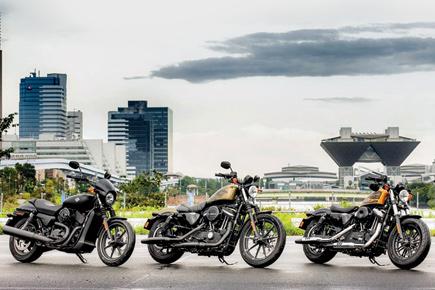 Test riding reworked versions of Harley Davidson's three best bikes