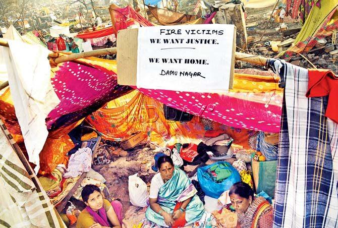 Some of the victims have installed signboards — demanding homes — on their makeshift shelters. Pics/Nimesh Dave