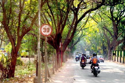 Mumbai: Aarey may finally get speed breakers