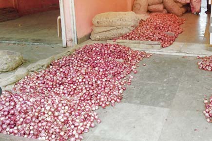 Shocking! Maharashtra farmer gets only 5 paise per kg for his onions!