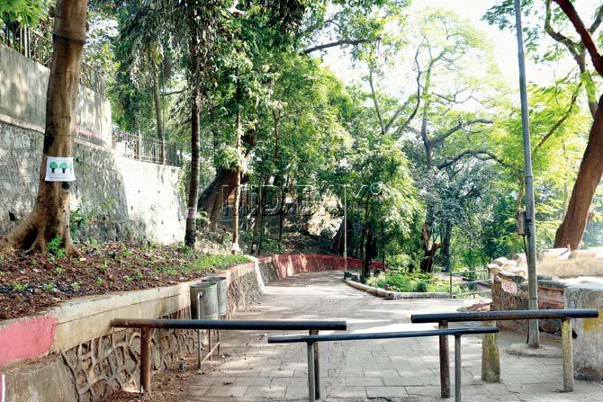Malabar Hill resident Prakash Munshi says, “The trees are the oxygen cylinders of the city. This green space needs to be preserved and residents will do all they can to save the 70-plus trees that will be cut to make the road.”