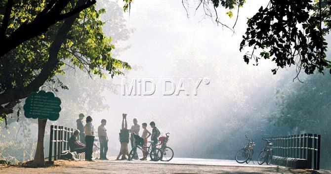 Over the last week, Mumbai has been witnessing minimum temperatures between 11 degrees to 14 degrees. Pic/Nimesh Dave