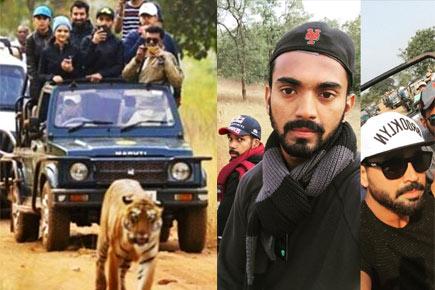 Indian cricketers and WAGs visit wildlife reserves