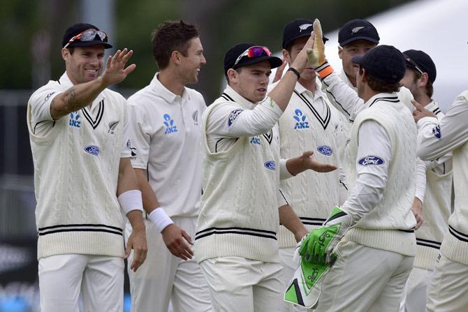 New Zealand cricketers celebrate a wicket