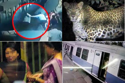 2015 - A Recap: Top 15 mid-day videos