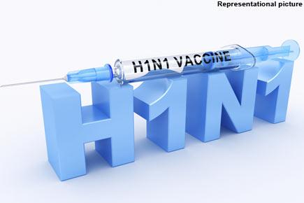 Sufficient medicines in Thane division to tackle swine flu: Official