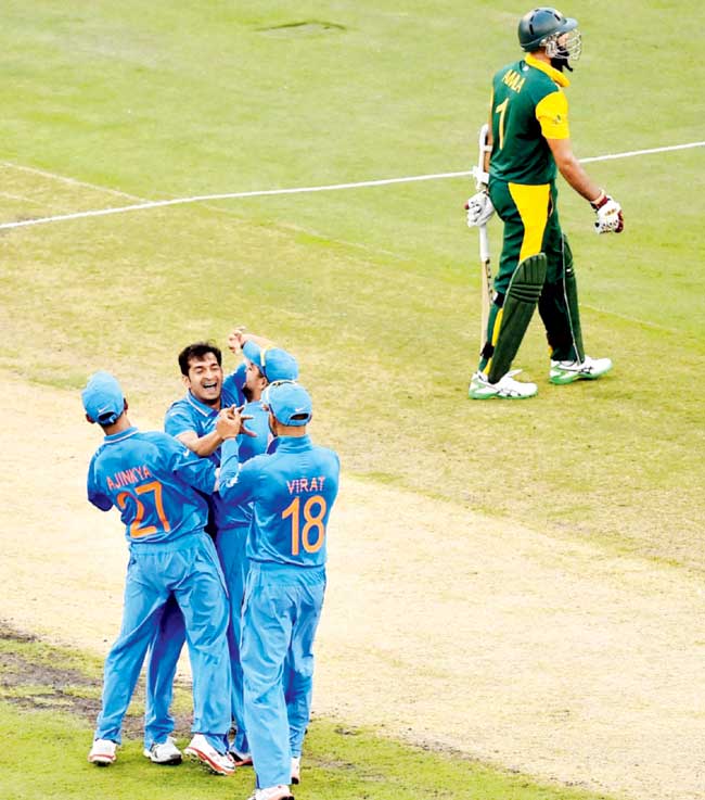 Indian players celebrate the wicket of SA