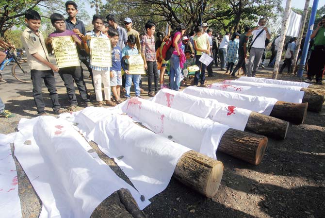 In a symbolic protest against the felling of trees for development projects, citizens covered logs in shrouds with ‘blood’ stains. Hundreds had come together earlier this month, to protest against proposals to construct a Metro  depot or a business hub in Aarey Colony. File pic