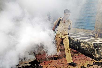 Mumbai: Safety of workers seems to be the least of BMC's concerns