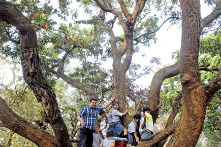 Save Aarey: Goregaon residents fight to preserve their green haven