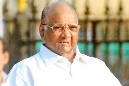 Decision taken! Sharad Pawar to contest BCCI polls