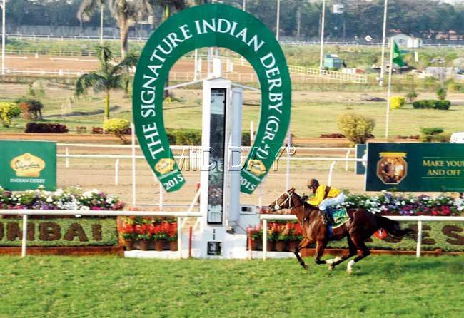 Be Safe crosses the finishline to win the Indian Derby at the Mahalaxmi Race Course yesterday. Pics/Satyajit Desai 