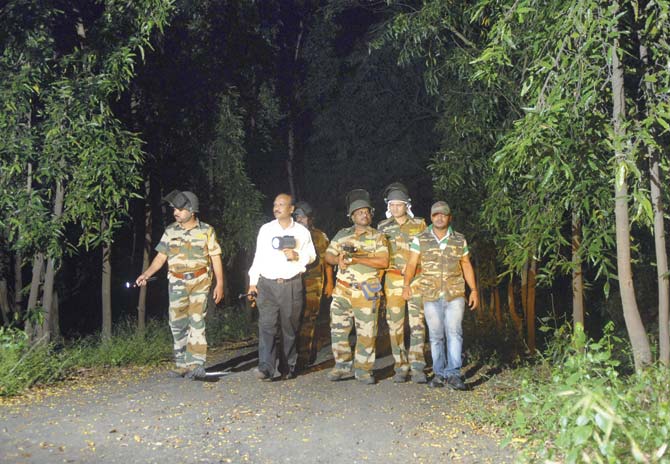 Forest officials routinely patrol Aarey Colony to look for leopards and to educate locals about man-animal conflict. This alone is adequate evidence of the big cat’s presence there. File Pic