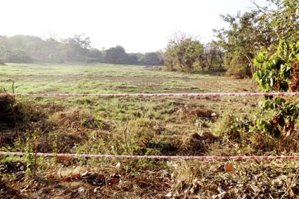 No wildlife at Aarey site? Did MMRC lie to get Rs 5,000 cr loan for Metro?