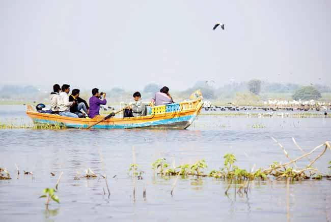 Birdwatching in Bhigwan.