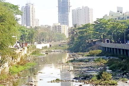 Mumbai: Residents want to restore Dahisar River to its former glory