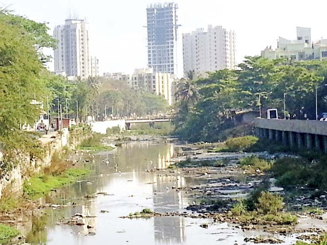 Dahisar River is currently a dumping ground for industrial effluents and construction debris