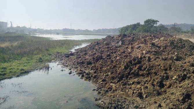 mid-day found debris around  tthe wetlands near JNPT’s customs house, which is shrinking the area used by birds