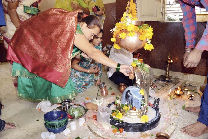A devotee offers milk to the Shivling on the occasion of Maha Shivratri at a temple inside TWS. File pic