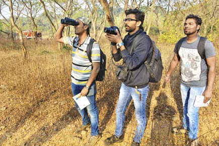 11th Mumbai BirdRace: Over 150 species spotted in a day