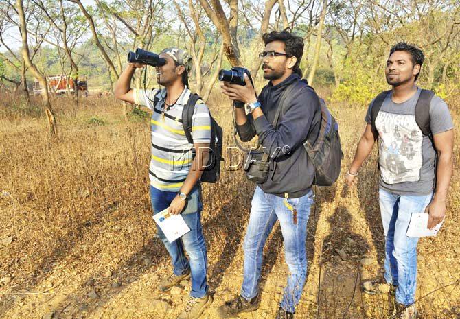 A mid-day correspondent was part of team Bubo, which had Sachin Rane, Prabhu Swami and Vinayak Nagmal (pictured above) as the other members. The team spotted a total of 98 species, including the Ruddy-breasted crake. Pic/Khushnum Bhandari