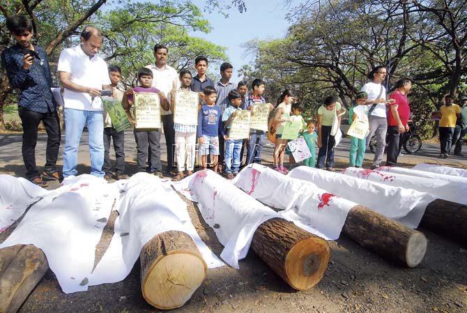 In a symbolic protest against the death of over 2,000 trees, demonstrators covered logs in a shroud