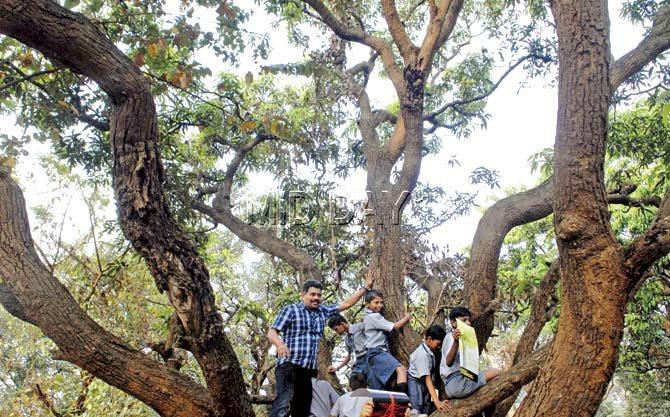 School children come forward to save the flora and fauna in Aarey Milk Colony. Pics/Shadab Khan