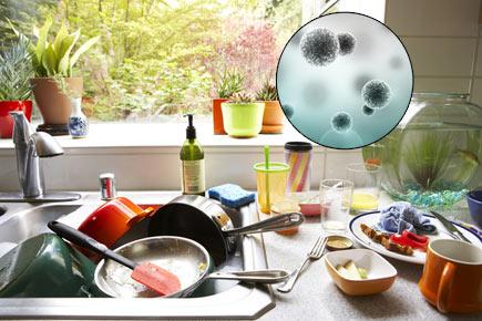 House not germ-free as we think: Study