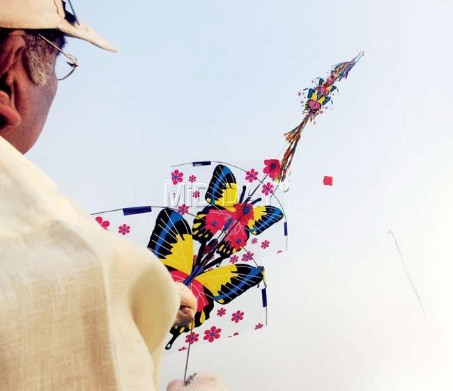 UP IN THE AIR: Show kites are the main attraction for many enthusiasts in the city. PIC/ NIMESH DAVE