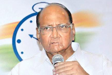 Uddhav Thackeray should concentrate on photography: Sharad Pawar
