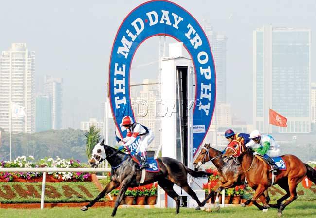 Winning surge: Jockey Yash Narredu guides Speed King to victory over Ephialties (S Zervan up, centre) and Glorious Reward (N Rawal up, right) in the mid-day Trophy at Mahalaxmi racecourse yesterday. Pic/Shadab Khan