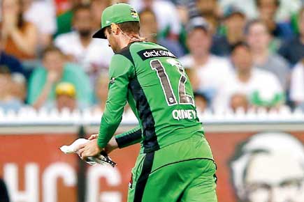 Big Bash: Injured seagull attacks 'rescuer' Rob Quiney at MCG