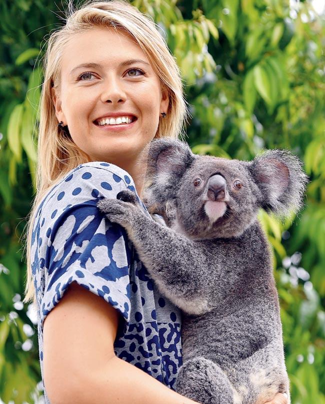 Maria Sharapova poses with a koala in Brisbane on Tuesday. Pic/AFP