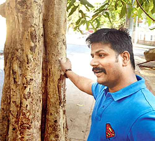 Chef Singh with the Arjun tree, whose bark has medicinal values