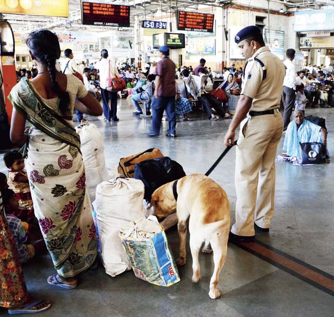 A total of 719 persons called in to report a suspicious looking bag or object, either on a train or on the premises of a railway station, in 2014. File pic for representation